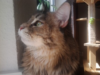 005 (3).jpg (987.54 KiB) 15179-mal betrachtet 005 (3).jpg