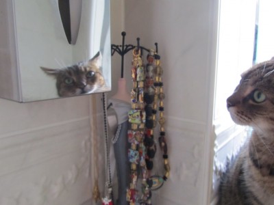 IMG_0439.jpg (80.09 KiB) 15535-mal betrachtet IMG_0439.jpg