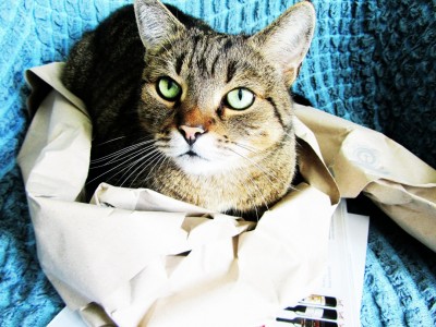 IMG_0483(1).jpg (222.11 KiB) 15528-mal betrachtet IMG_0483(1).jpg