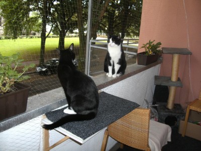 nach 16 std..JPG (426.04 KiB) 6426-mal betrachtet nach 16 std..JPG