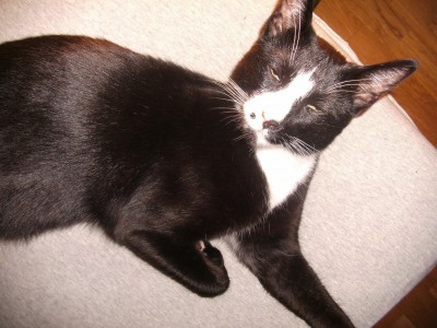 der hübsche neue.JPG (493.96 KiB) 6370-mal betrachtet der hübsche neue.JPG