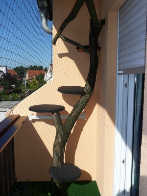 Maja Balkon2.jpg (177.05 KiB) 7012-mal betrachtet Maja Balkon2.jpg