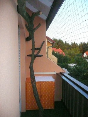 Maja Balkon4.jpg (192.89 KiB) 7007-mal betrachtet Maja Balkon4.jpg