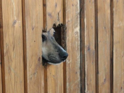 500_blumenkorso1214.jpg (47.16 KiB) 6525-mal betrachtet 500_blumenkorso1214.jpg