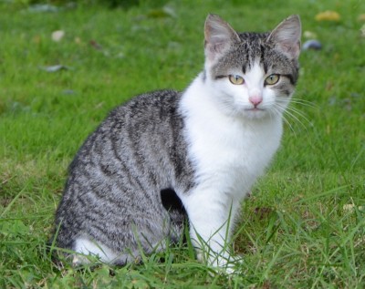 Mathilda.jpg (250.83 KiB) 31044-mal betrachtet Mathilda.jpg