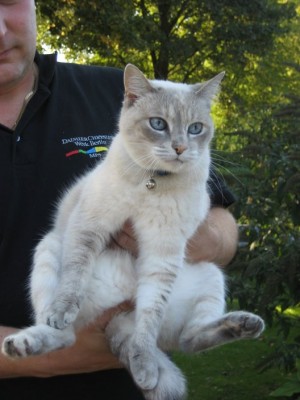 IMG_0453.jpg (64.82 KiB) 6767-mal betrachtet IMG_0453.jpg