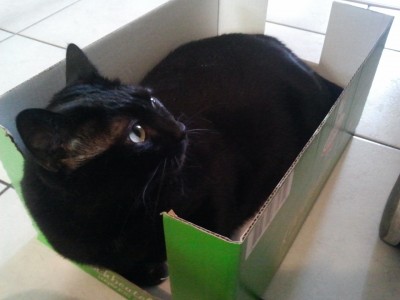 20120802_133031 - Kopie.jpg (355.41 KiB) 8280-mal betrachtet 20120802_133031 - Kopie.jpg