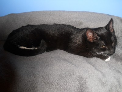 DSCN1037.JPG (270.97 KiB) 13730-mal betrachtet DSCN1037.JPG