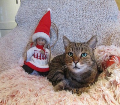 IMG_0961_4.jpg (116.32 KiB) 7929-mal betrachtet IMG_0961_4.jpg