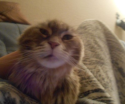 miezi 035.JPG