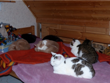 Gruppenfoto.jpg