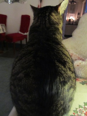 IMG_1118.JPG (440.52 KiB) 14784-mal betrachtet IMG_1118.JPG