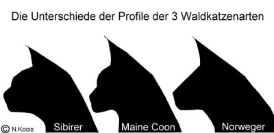 Profilbild.jpg (31.06 KiB) 14803-mal betrachtet Profilbild.jpg