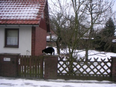 PICT3131.jpg