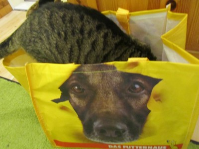 IMG_1247.JPG (476.48 KiB) 15322-mal betrachtet IMG_1247.JPG