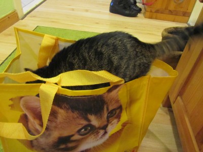 IMG_1248.JPG (516.2 KiB) 14704-mal betrachtet IMG_1248.JPG