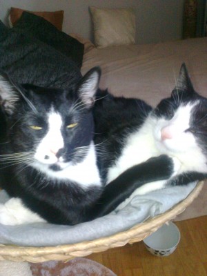 Foto0844.jpg (598.05 KiB) 15324-mal betrachtet Foto0844.jpg