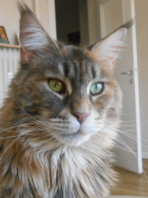 007 (2).JPG (206.53 KiB) 15317-mal betrachtet 007 (2).JPG