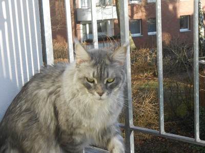 021 (2).JPG (163.74 KiB) 15328-mal betrachtet 021 (2).JPG