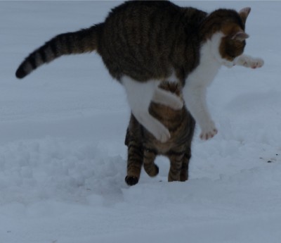 Schneespiele.jpg