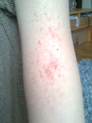 foto0972_001.jpg (194.67 KiB) 15752-mal betrachtet foto0972_001.jpg