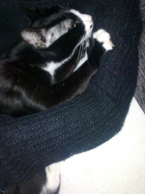 Foto0983.jpg (600.77 KiB) 15741-mal betrachtet Foto0983.jpg