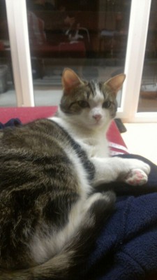 IMG-20130308-WA0002.jpg (48.41 KiB) 8693-mal betrachtet IMG-20130308-WA0002.jpg