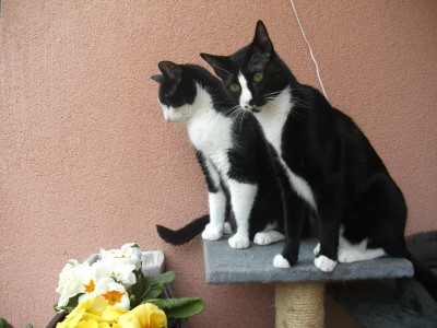 frühling.JPG