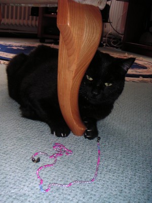 Panther.jpg
