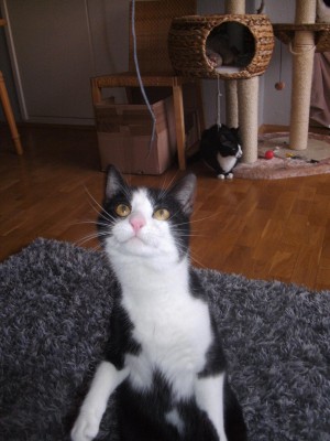 lustig.JPG (323.65 KiB) 17716-mal betrachtet lustig.JPG