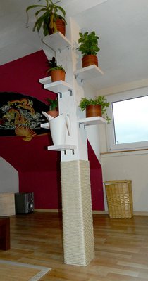 Kratzbaum.jpg (323 KiB) 12156-mal betrachtet Kratzbaum.jpg