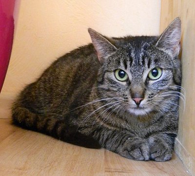 Aurelia.jpg (233.73 KiB) 11887-mal betrachtet Aurelia.jpg