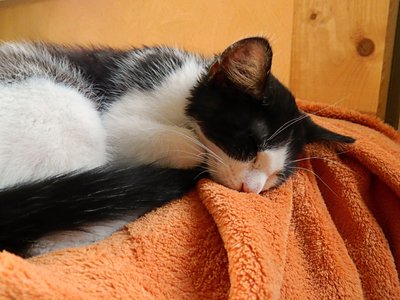 DSCN5904.JPG (800.54 KiB) 10291-mal betrachtet DSCN5904.JPG