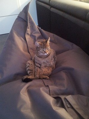 Mila1.jpg (63.2 KiB) 10034-mal betrachtet Mila1.jpg