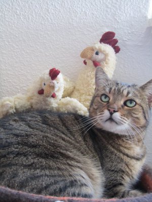 IMG_1391.JPG (458.55 KiB) 10140-mal betrachtet IMG_1391.JPG