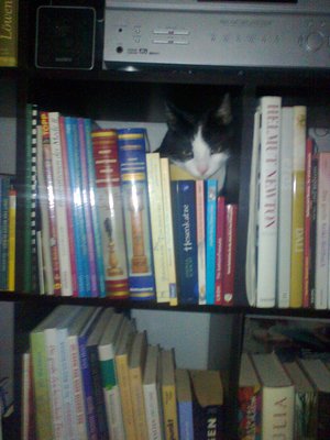 Foto1224.jpg (706.96 KiB) 17653 mal betrachtet nein,eigentlich braucht man keine bücher...