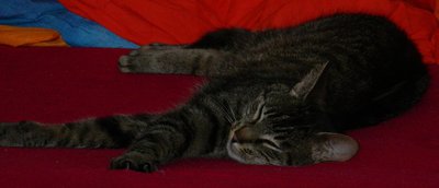 DSCN6041.JPG (280.78 KiB) 9363-mal betrachtet DSCN6041.JPG