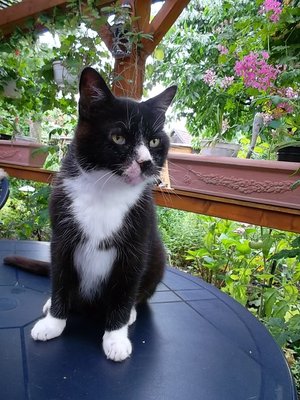 SAM_0212.JPG (252.39 KiB) 16889-mal betrachtet SAM_0212.JPG