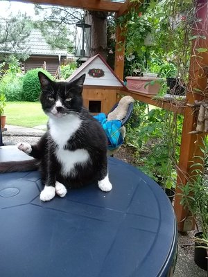 SAM_0210.JPG (240.25 KiB) 17050-mal betrachtet SAM_0210.JPG