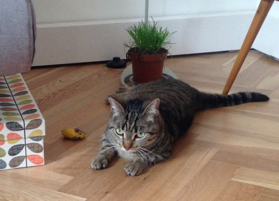 image.jpg (288.96 KiB) 9179-mal betrachtet image.jpg