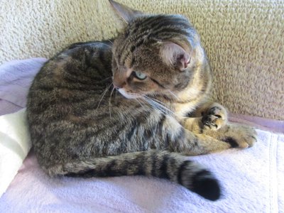 IMG_1888.JPG (547.95 KiB) 9176-mal betrachtet IMG_1888.JPG