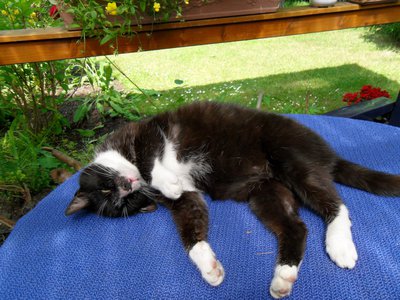 SDC16043.jpg (202.72 KiB) 18786-mal betrachtet SDC16043.jpg