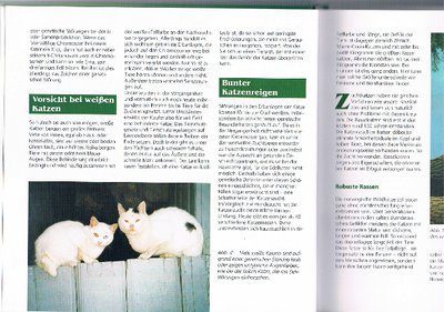 kf (640x449).jpg (245.9 KiB) 9380-mal betrachtet kf (640x449).jpg