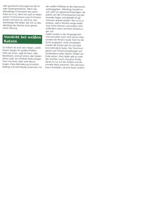 Unbenannt.png (405.11 KiB) 9379-mal betrachtet Unbenannt.png