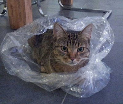 plastik.jpg