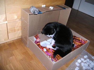 forum2.JPG (330.1 KiB) 28286 mal betrachtet heute als großer stolzer kater baut er sogar eigene kleine einzimmerwohnungen...