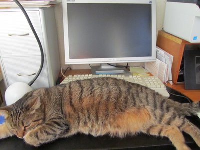 IMG_1736.JPG (111.38 KiB) 7450-mal betrachtet IMG_1736.JPG