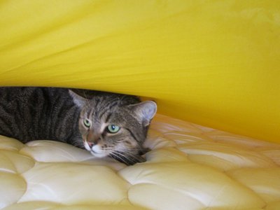 IMG_1789.JPG (78.88 KiB) 7450-mal betrachtet IMG_1789.JPG