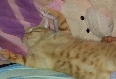 20140118_211641.jpg