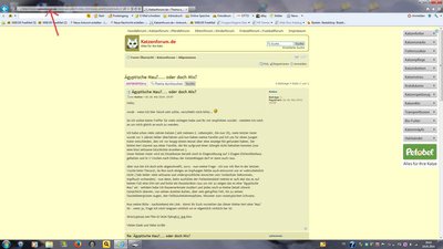 tn_Bild URL-Leiste.jpg